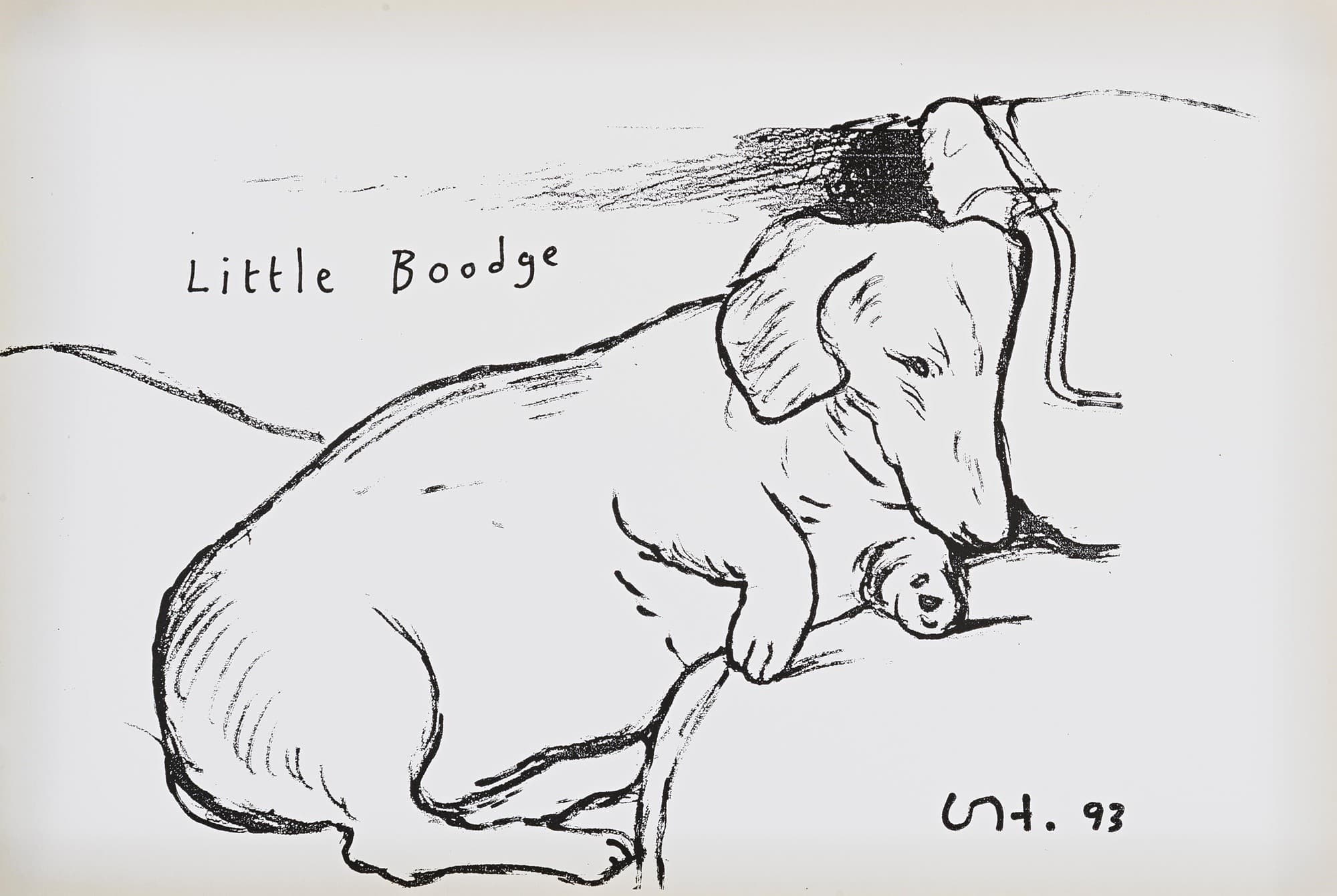 David Hockney - Little Boodge.jpeg