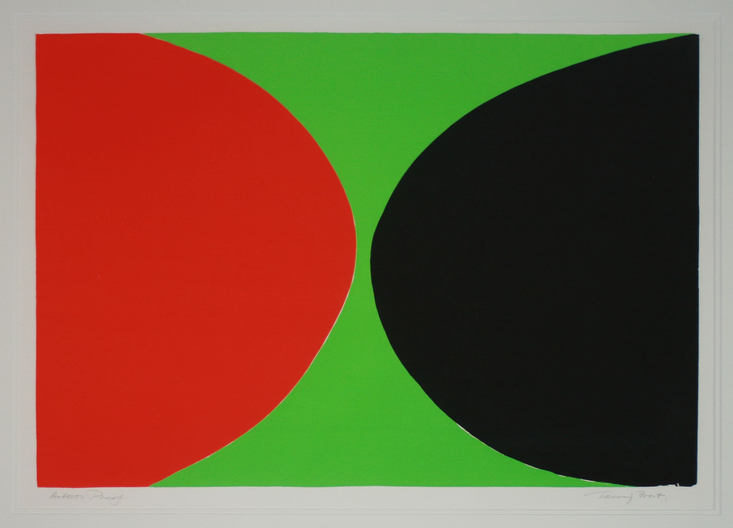 Terry Frost Red and Black on Green Detail.jpg
